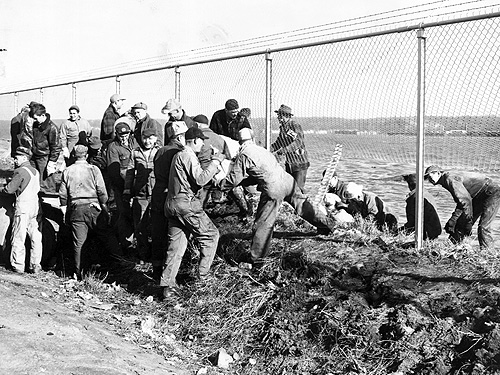 flood195111